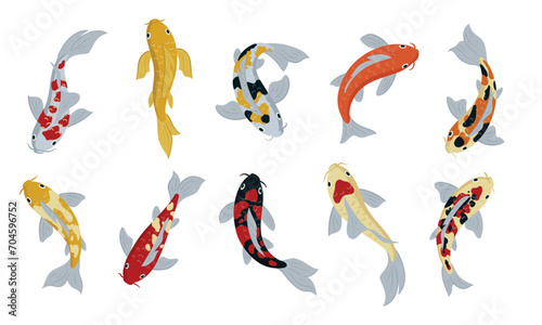 Japanese koi fishes. Cartoon carp fish, oriental fish koi, asian carp flat vector symbols illustration set. Oriental koi carp fish collection