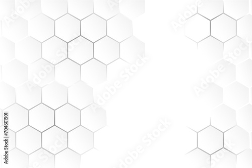 gray white hexagon background vector