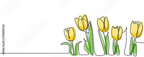 One line tulips flower continuous single line drawing. No background illustration. 