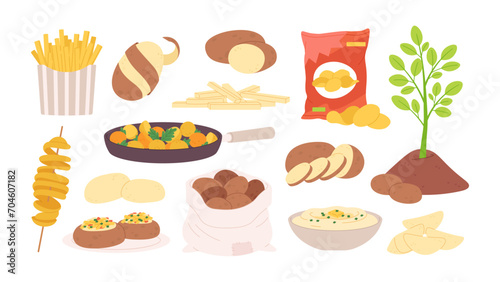 Cartoon potato raw. Potatoes products and meals, fries and chips, baked in oven and mash. Vegetable growth through ground, racy vector elements