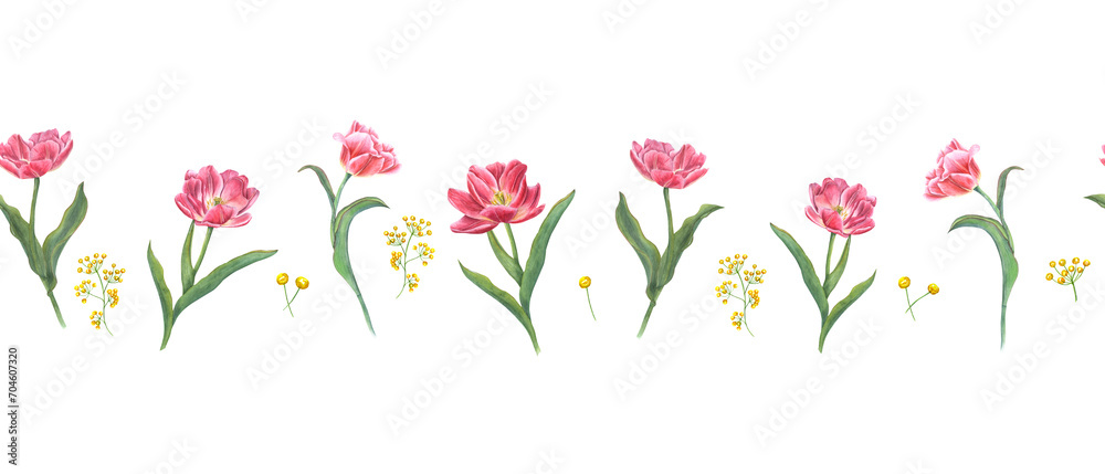 Seamless border with pink tulips and yellow flowers. Spring flowers, green leaves. Floral horizontal pattern. For Save the Date, Valentines day, birthday cards. Watercolor illustration on white