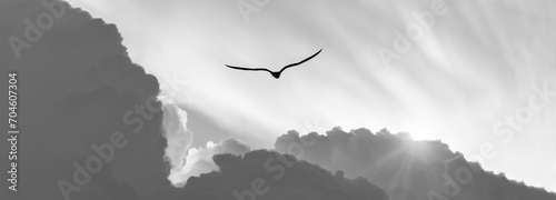 Sunset Bird Flying Soaring Divine Inspirational Flight Banner Header Black And White Sunrise