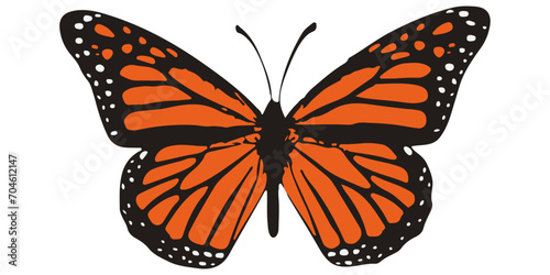 Vector stylish monarch butterfly. Orange colored butterfly. Symmetrical and beautiful winged butterfly.