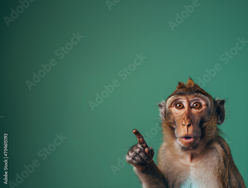 Monkey Shocker: A Perfect Capture for YouTube Thumbnails and Wildlife Engagement. With Copy Space