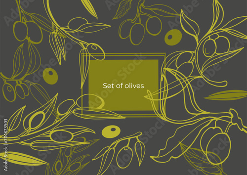 Green olive sketch element collection, olive branches isolated on a green background, leaves, olives, vector hand drawn set. 