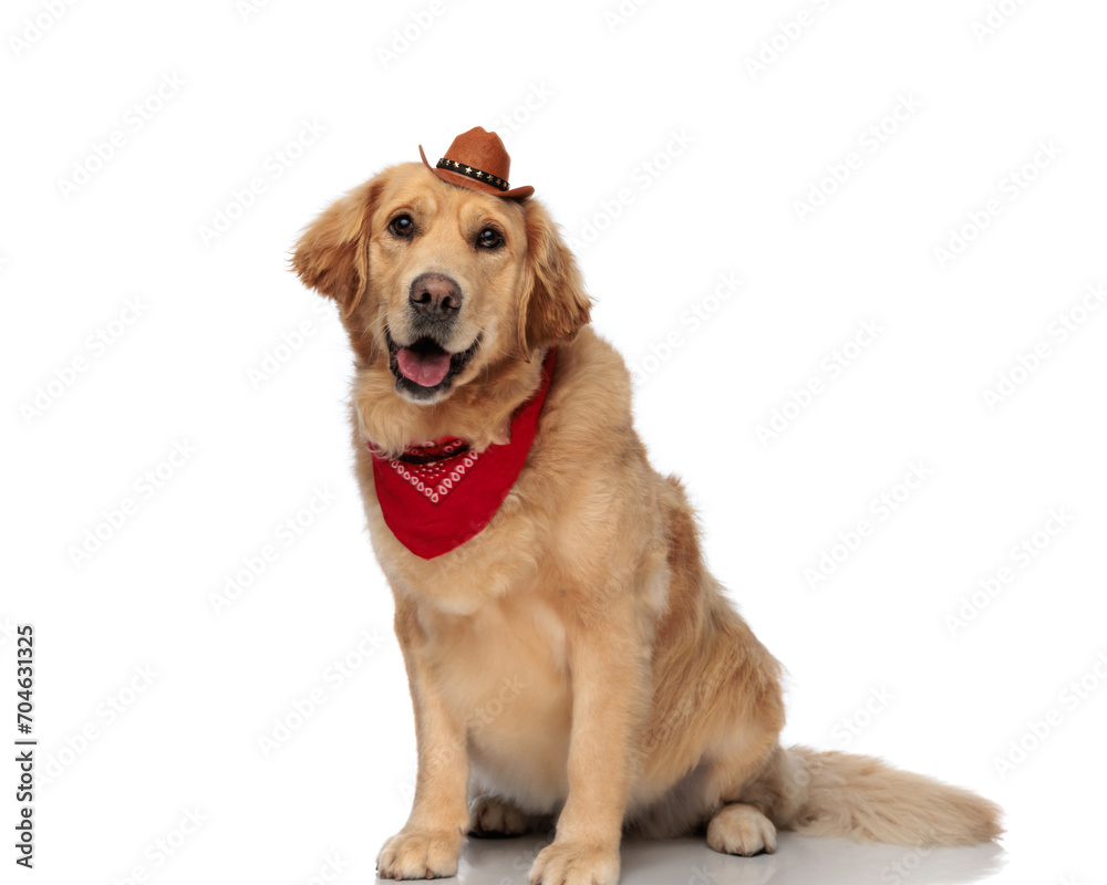 cute golden retriever sheriff dog wearing hat and bandana and panting