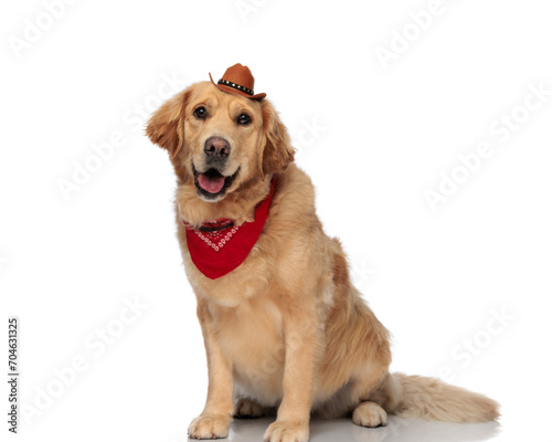 cute golden retriever sheriff dog wearing hat and bandana and panting