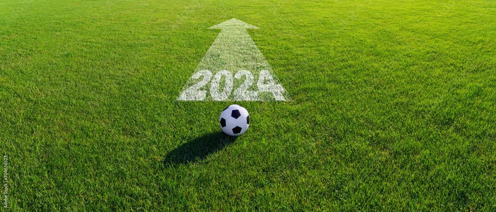 Obraz premium a bal on the green grass - 2024 Germany