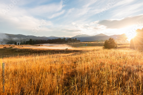 Golden Morning On the Ranch
