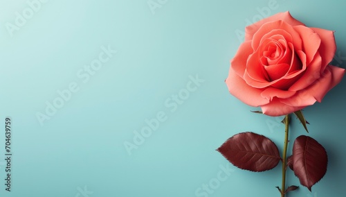 A love background with a red rose. © MdBaki