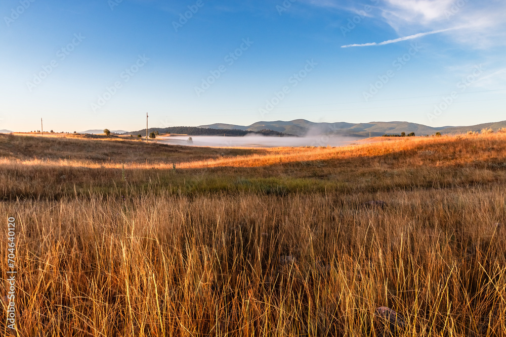 Grassy Field With Mist