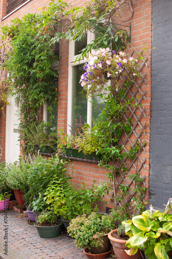 The Dutch facade of the house is decorated with potted plants and climbing plants The Dutch facade of the house is decorated with potted plants and climbing plants