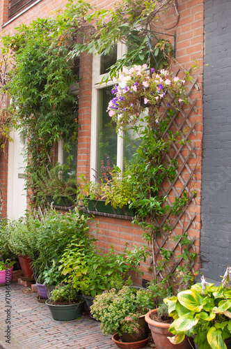The Dutch facade of the house is decorated with potted plants and climbing plants
