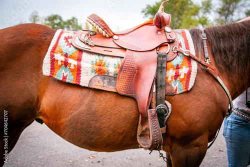 horse and saddle photo