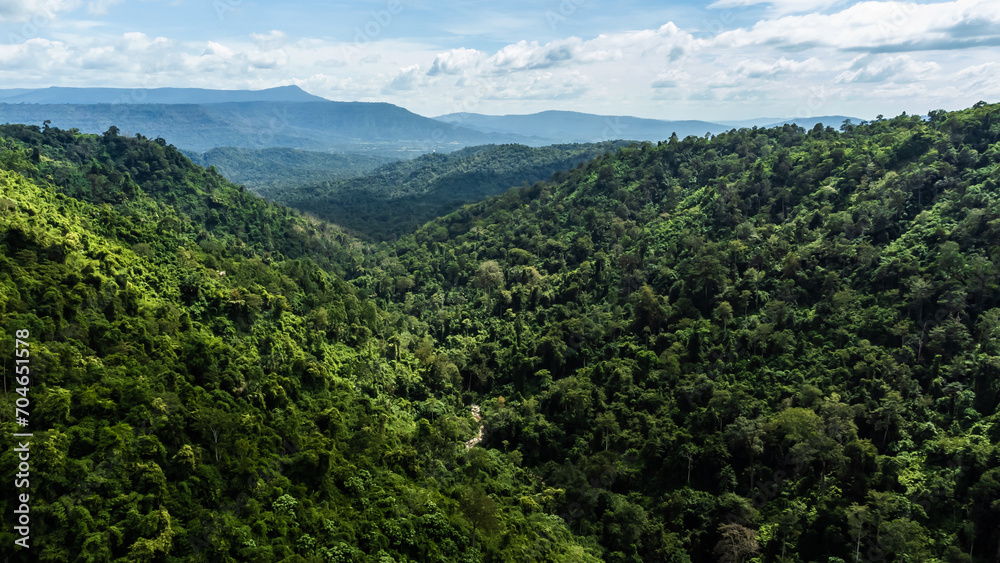 High angle view Aerial photograph of forest