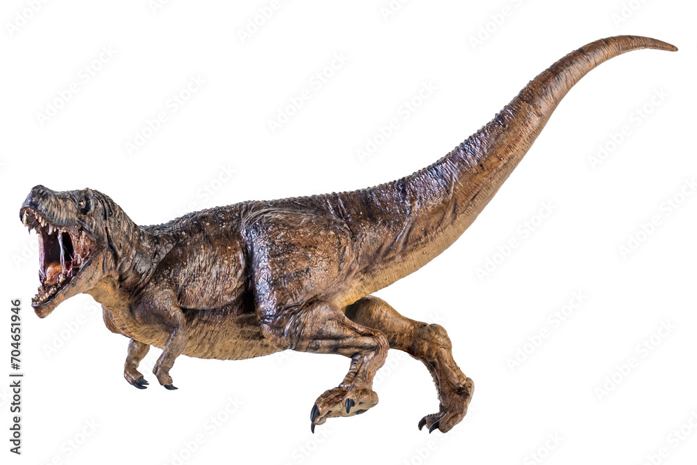 Fototapeta premium Trex Tyrannosaurus dinosaur on isolated background
