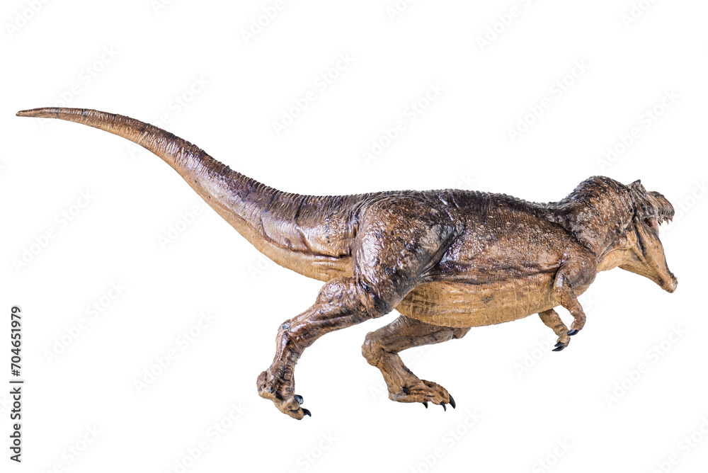 Trex Tyrannosaurus dinosaur on isolated background Trex Tyrannosaurus dinosaur on isolated background