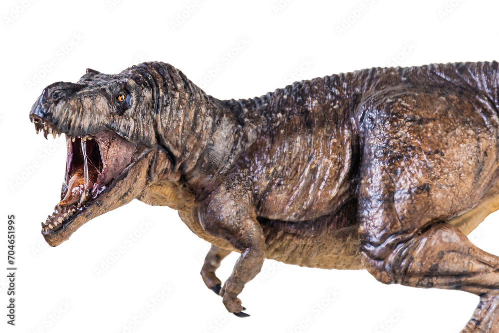 Fototapeta premium Trex Tyrannosaurus dinosaur on isolated background