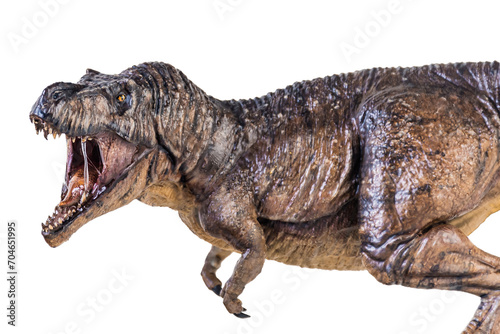 Trex Tyrannosaurus dinosaur on isolated background © meen_na