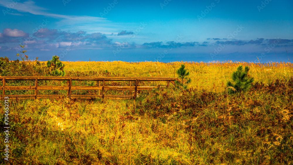 Fototapeta premium Beautiful Beach Access on Hilton Head Ialand