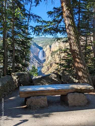 Empty park bench with Lower Yellowstone Falls in the distance
