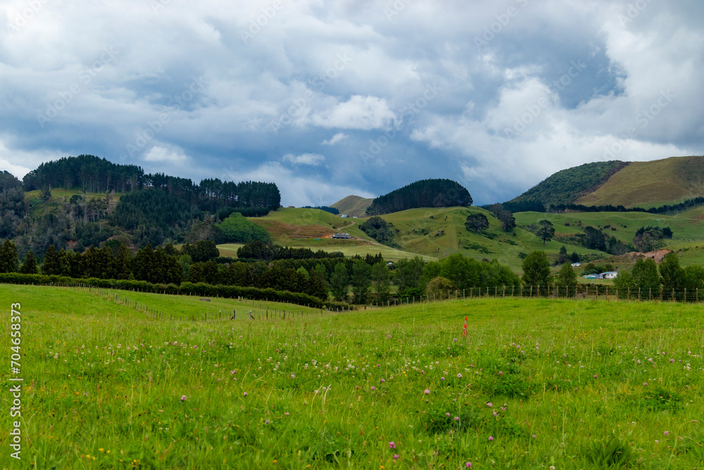 New Zealand, its landscapes, mountains, roads, stormy skies, fields and seas 27