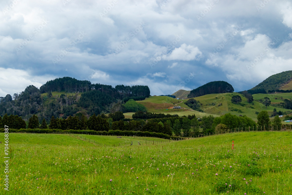 New Zealand, its landscapes, mountains, roads, stormy skies, fields and seas 28
