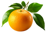 Pojedyńczy dojrzały owoc mandarynki na przezroczystym tle.