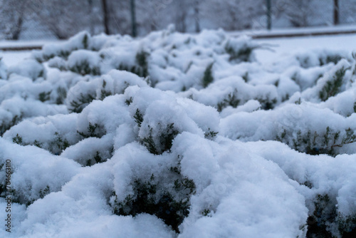 Fist Snow in NWA 2024