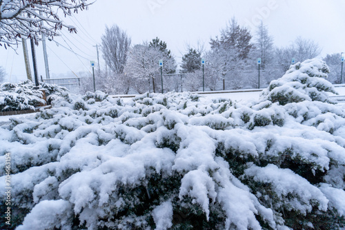 Fist Snow in NWA 2024