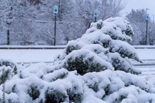 Fist Snow in NWA 2024