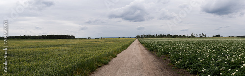 Country landscape with empty road between agricultural fields and farmland. Panoramic view of cloudy summer day at   land  an island in Sweden.