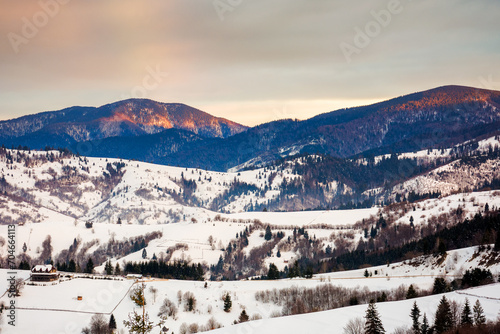 carpathian countryside scenenry in winter season at sunrise. rural landscape with snow covered fields on the forested hills in shade of a mountains beneath a cloudy sky