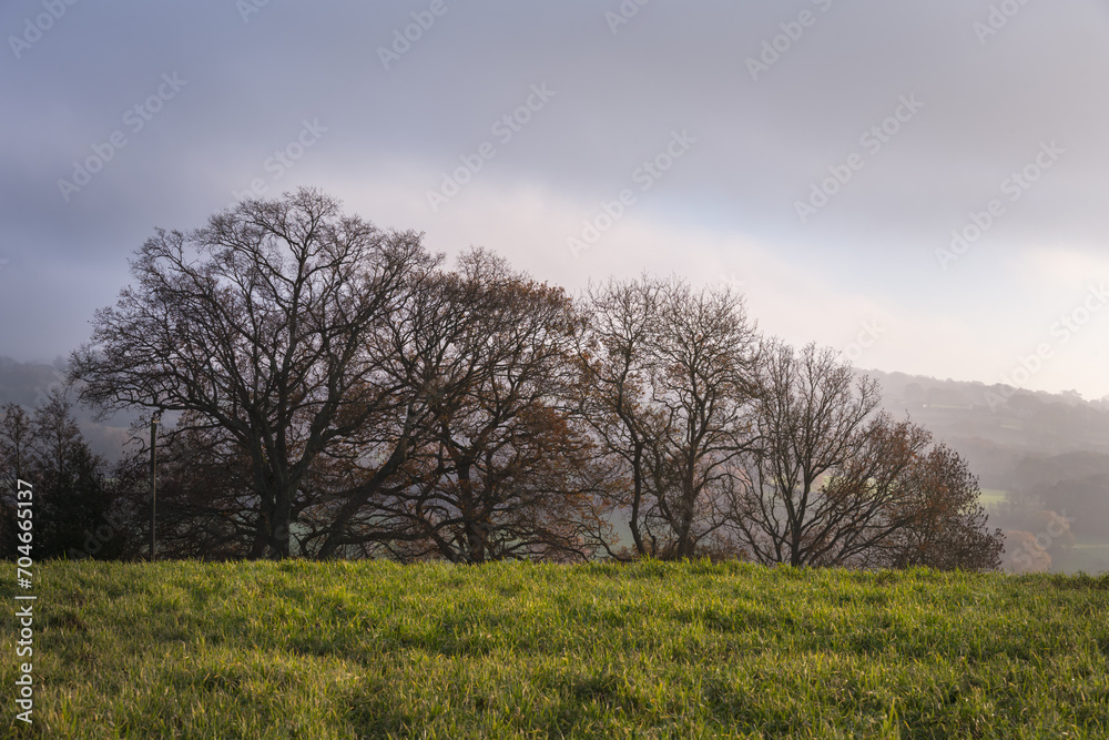 Walking around in Wealden, East Sussex, England , on a foggy autumn day