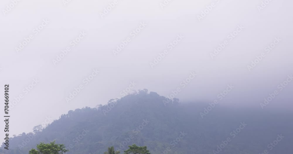 Dense forest in fog and clouds, mountains of Bali near Munduk, Indonesia