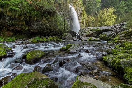 waterfall in the forest