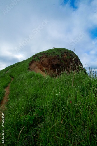 green hill and blue sky