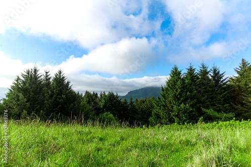grass and blue sky with clouds