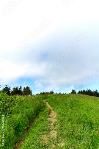 field and blue sky