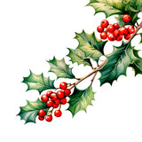 Christmas holly corner. Isolated on transparent background. PNG