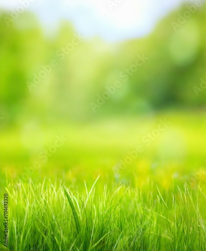 Beautiful blurred green nature background with green meadow in foreground, idyllic area for recreation, fresh springtime or summertime concept with copy space