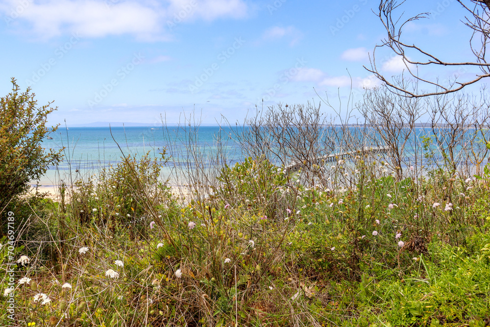 beach foreshore and sea off tourism destination of Queenscliff