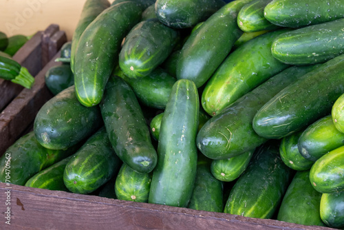 A stack of fresh vibrant green manny cucumbers. The vegetables have thin skin with a sour flavor. A harvest of the cultivated organic English cucumber or cukes is for sale at a farmer's market.   photo
