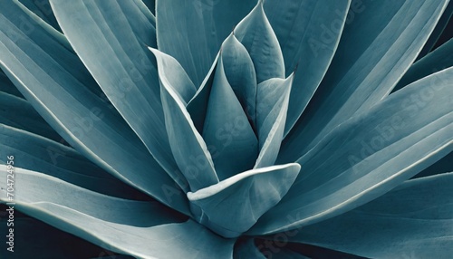 Close up of plant. © hugo