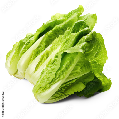 Romaine lettuce vegetable isolated Tomatoes high quality with white background, isolate on transparency background png 