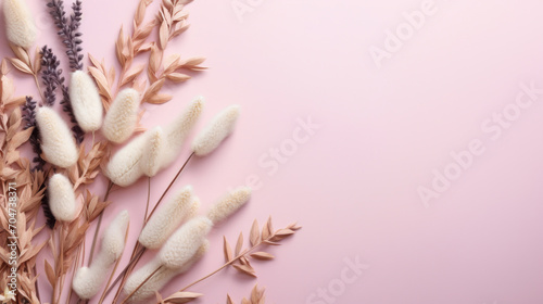 A soft pastel pink background complemented by a frame of natural white and beige dried flowers and plants. photo
