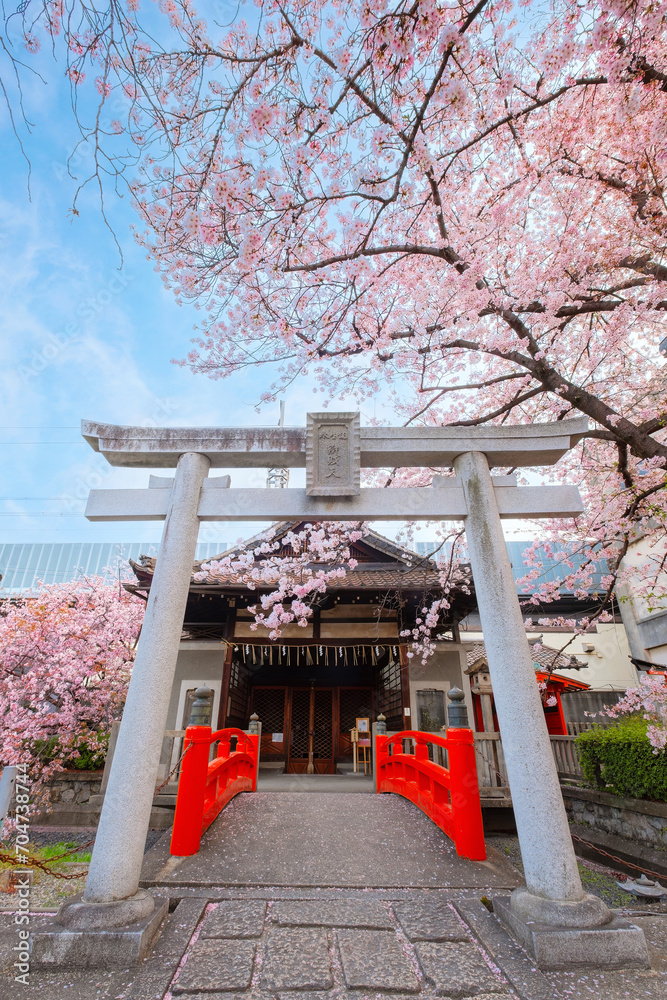 Rokusonno shrine built in 963, enshrines MInamota no Tsunemoto the 6th grandson of Emperor Seiwa. It's one of the best cherryblossom viewing spots in Kyoto
Rokusonno shrine built in 963, enshrines MInamota no Tsunemoto the 6th grandson of Emperor Seiwa. It's one of the best cherryblossom viewing spots in Kyoto