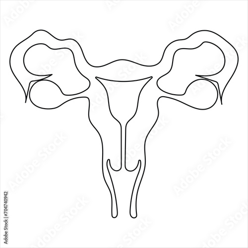 Female reproductive uterus of continuous single line art drawing and woman day one outline vector art illustration