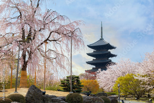Toji Temple in Kyoto, Japan during beautiful full bloom cherry blossom season
