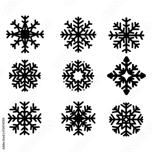 set of snow flake on white background. vector EPS 10